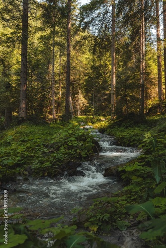 Serene Forest Stream in Lush Greenery