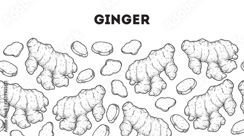 Ginger root sketch. Horizontal seamless pattern. Hand drawn vector illustration. Kitchen spice