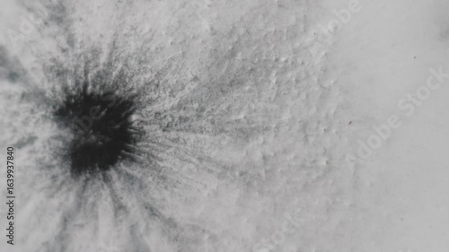 Paint spill. Grunge blob. Black splatter liquid drip dirt burst on white paper. Art fluid splash monochrome abstract blur background.