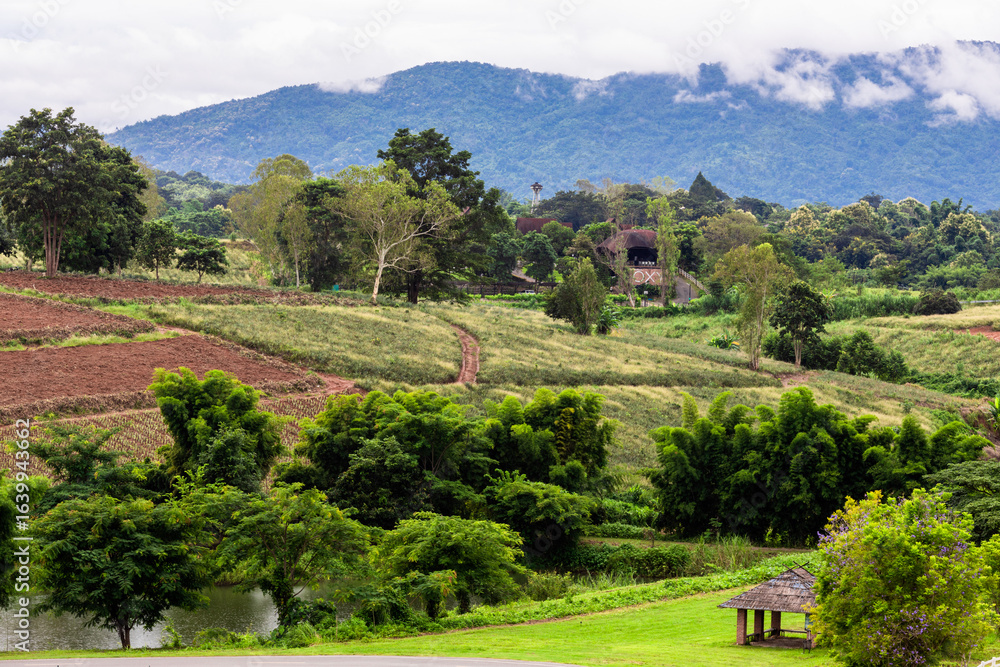 Fototapeta premium Idyllic landscape with winding river, rolling hills, and mist drifting through pine forests. Wind-swept trees along a mountain river under dramatic sky with moving clouds.