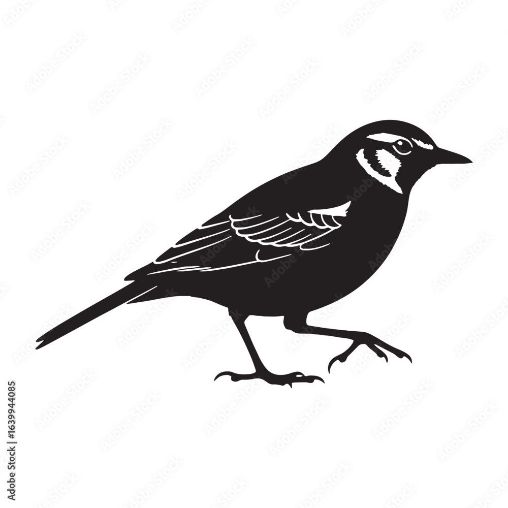 Fototapeta premium Sleek Lark Silhouette – Lark Vector Outline for Modern and Traditional Designs – black vector of Lark