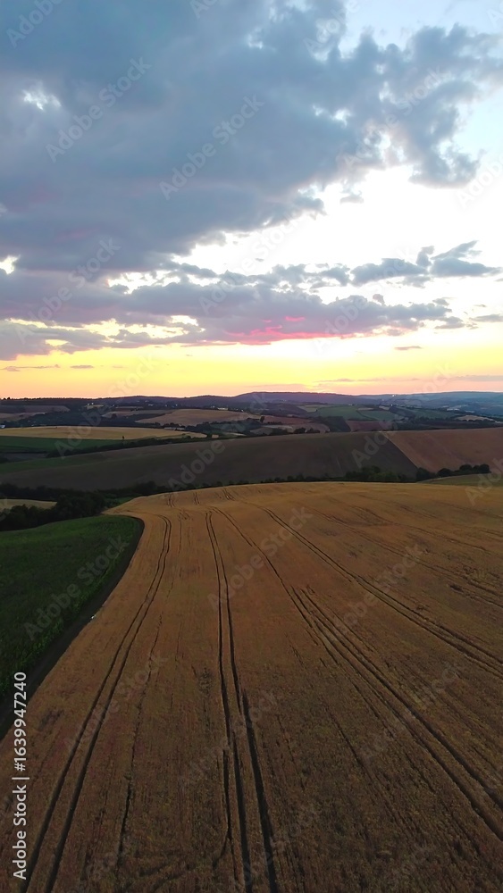 Fototapeta premium Aerial view of a golden field at sunset