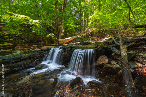 waterfalls of the Jeseníky mountains, waterfall, water, stream, forest, nature, river, cascade, landscape, green, rock, fall, stone, falls, flow, tree, trees, park, mountain, rocks, creek, travel, mos
