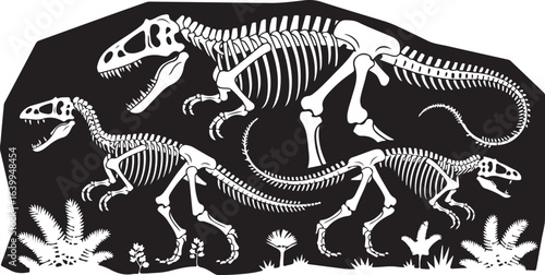 Tyrannosaurus rex dinosaur skeleton isolated on white background, a prehistoric fossil animal vector illustration