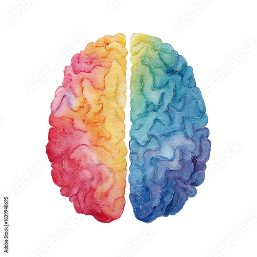 Colorful brain illustration, divided into vibrant hues