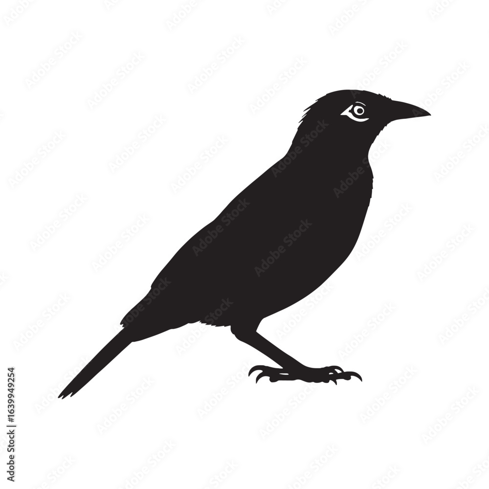 Obraz premium Elegant Profile Mynah Silhouette – Mynah Vector Illustration for Versatile Use – Mynah Illustration – Bird Silhouette – Silhouette of Mynah