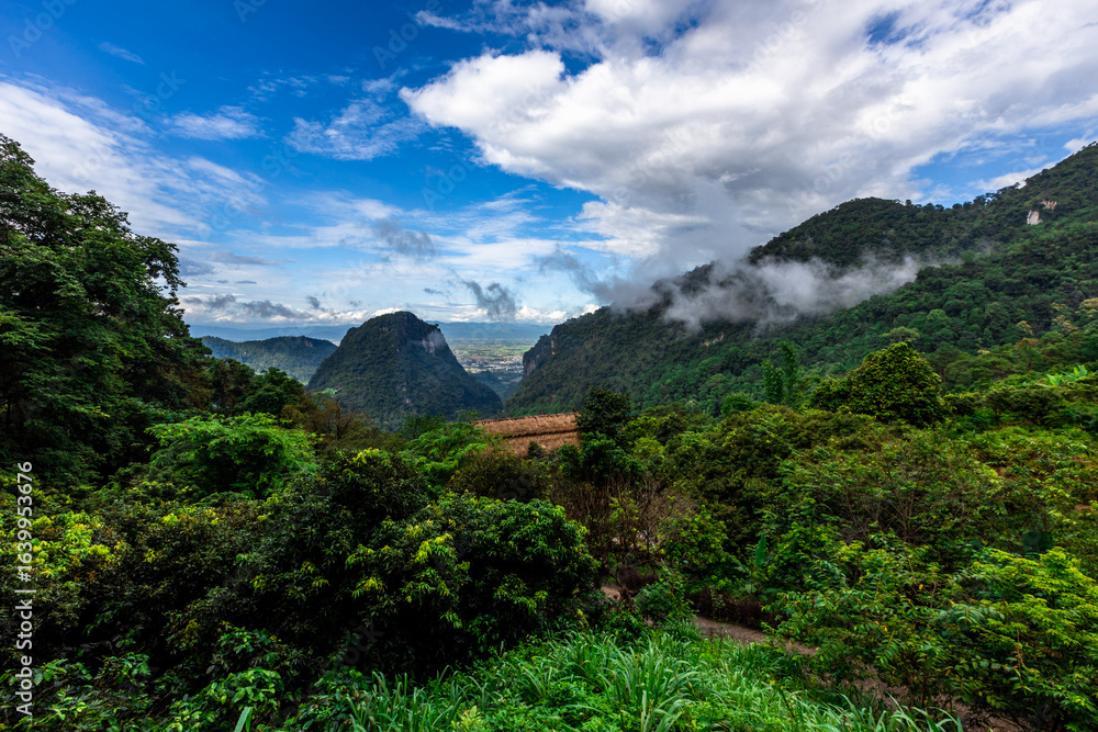 Naklejka premium Idyllic landscape with winding river, rolling hills, and mist drifting through pine forests. Wind-swept trees along a mountain river under dramatic sky with moving clouds.