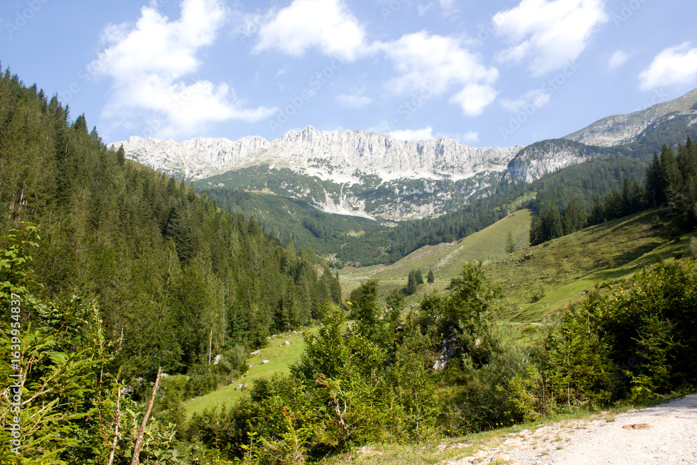 Obraz premium Scenic mountain landscape with lush green valleys and rocky peaks in bright daylight near a hiking path in summer