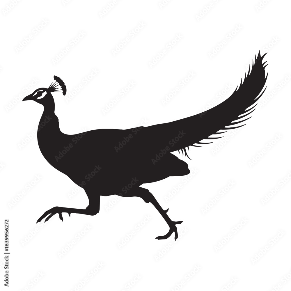 Fototapeta premium Elegant Peacock Silhouette – Peacock Vector Artwork in Bold Monochrome for Design Use – Silhouette of Peacock