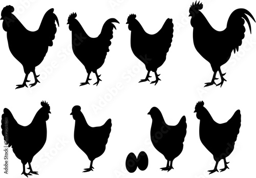 Chicken,rooster,Chicks,eggs, black silhouette.

