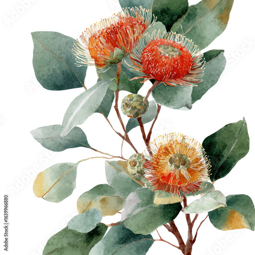 Vibrant watercolor botanical illustration of eucalyptus and blossoms