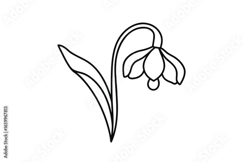 Minimalist single line drawing a snowdrop flower with stem leaves vector
