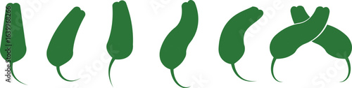 Chili pepper icon set, capsicum collection hot spice vector group, jalapeno silhouette and outline, cayenne symbol bundle, vegetable pictogram pack in line style for seasoning design isolated