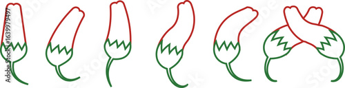 Chili pepper icon set, capsicum collection hot spice vector group, jalapeno silhouette and outline, cayenne symbol bundle, vegetable pictogram pack in line style for seasoning design isolated