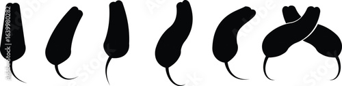 Chili pepper icon set, capsicum collection hot spice vector group, jalapeno silhouette and outline, cayenne symbol bundle, vegetable pictogram pack in line style for seasoning design isolated