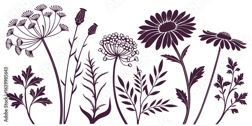 Vintage Herbarium Silhouette Collection - Pressed Flower Vector Set with Daisies, Poppies & Wildflowers