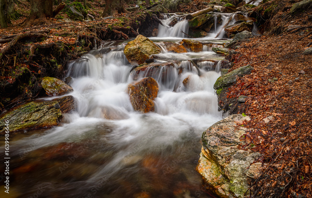 Fototapeta premium waterfalls of the Jeseníky mountains, waterfall, water, stream, forest, nature, river, cascade, landscape, green, rock, fall, stone, falls, flow, tree, trees, park, mountain, rocks, creek, travel, mos