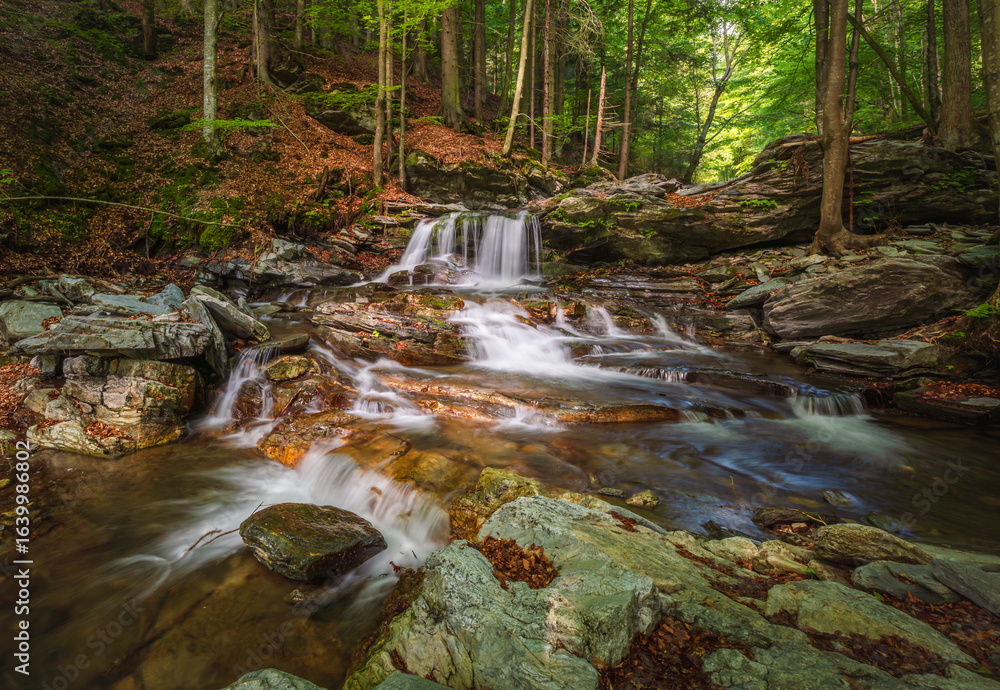 Obraz premium waterfalls of the Jeseníky mountains, waterfall, water, stream, forest, nature, river, cascade, landscape, green, rock, fall, stone, falls, flow, tree, trees, park, mountain, rocks, creek, travel, mos