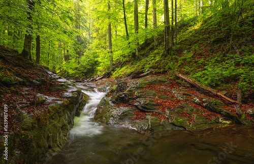 waterfalls of the Jeseníky mountains, waterfall, water, stream, forest, nature, river, cascade, landscape, green, rock, fall, stone, falls, flow, tree, trees, park, mountain, rocks, creek, travel, mos