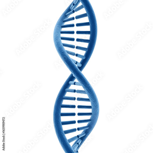 dna strand on white background