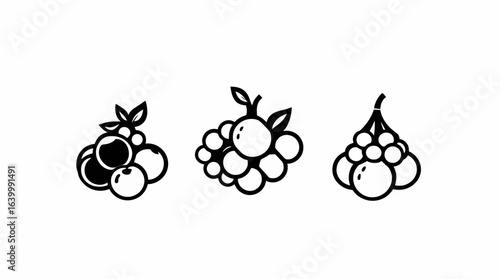 Simple black and white illustrations of three different types of berries.