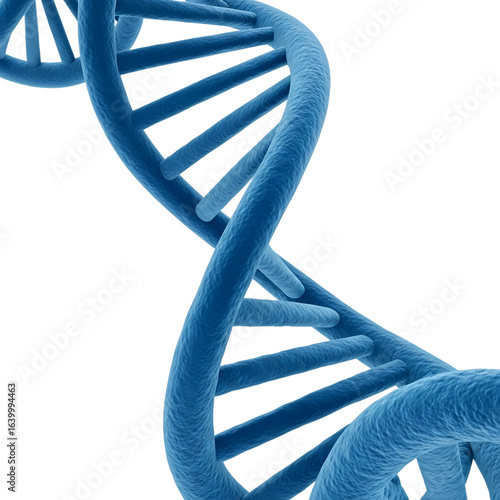 dna strand on white background