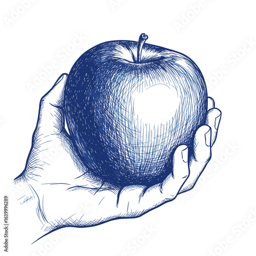 Blue ballpoint pen doodle apple in hand, first-person view — hand-drawn sketch isolated on white vector illustration

