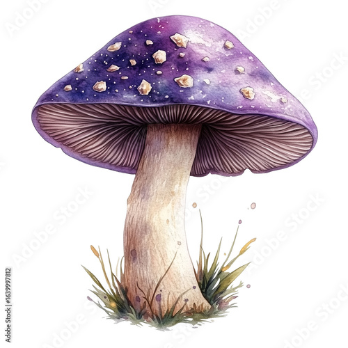 Purple Fantasy Mushroom with Grass and Flowers Illustration Clipart PNG