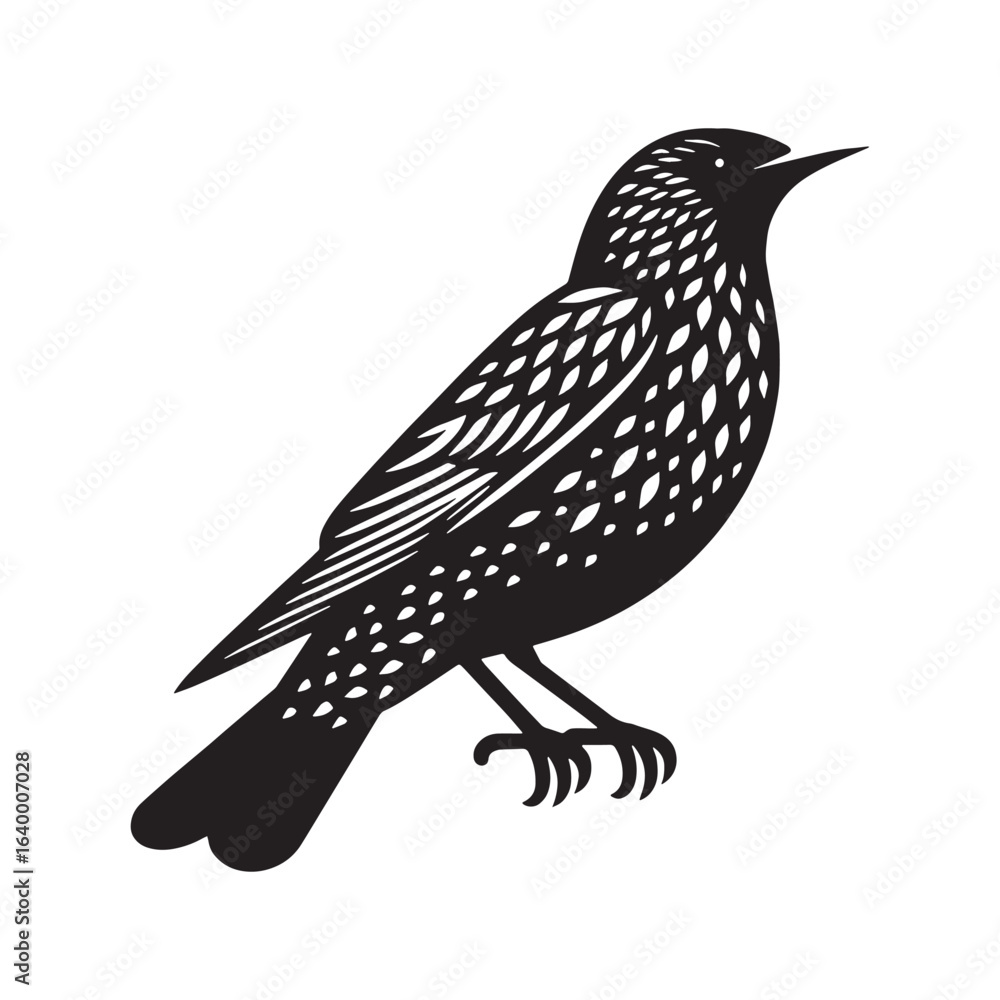 Naklejka premium Modern Starling Silhouette – Starling Vector Graphic for Artistic and Print Projects – Black Vector of Starling