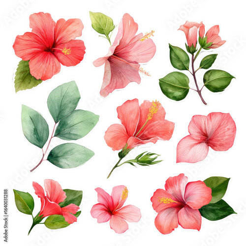 Fototapeta Naklejka Na Ścianę i Meble -  Floral sticker sheet with pink hibiscus flowers and leaves.  Watercolor style