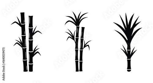 Wallpaper Mural Sugarcane Plant Stalks in Black Silhouette Style on White Background silhouette Torontodigital.ca
