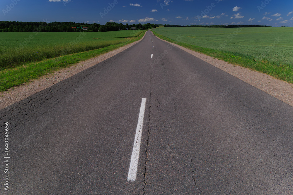 Fototapeta premium Road view on a summer day. Highways and bridge, roadside and white road line markings.