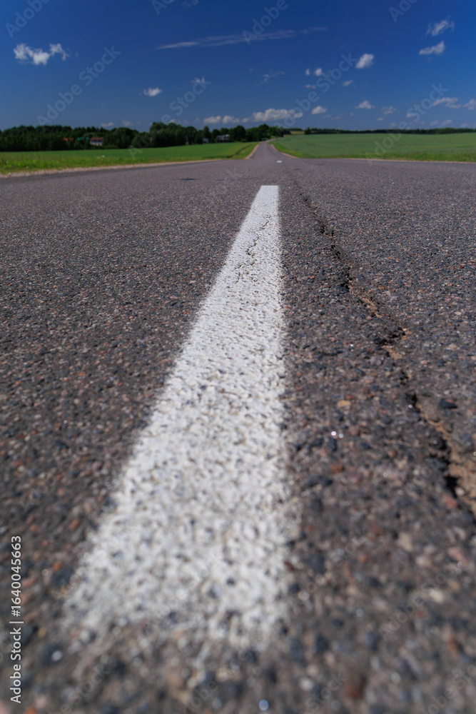Fototapeta premium Road view on a summer day. Highways and cars, roadside and white road line markings.