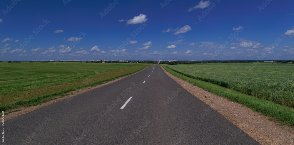 Fototapeta premium Road view on a summer day. Highways and bridge, roadside and white road line markings.