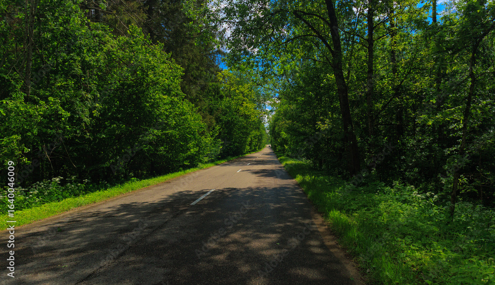 Fototapeta premium Road view on a summer day. Highways and cars, roadside and white road line markings.