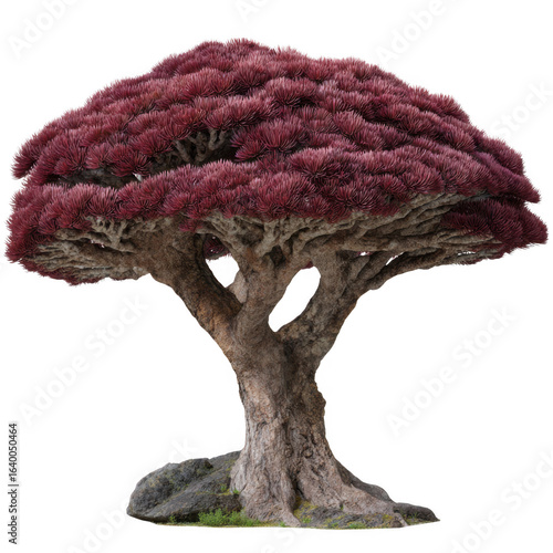 Fantasy tree isolated on transparent background