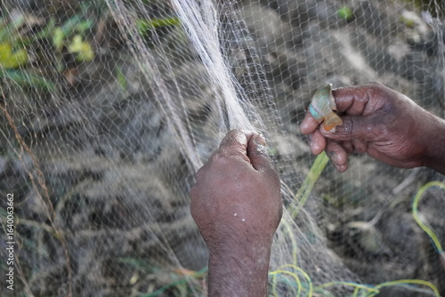 Vászonkép Fishermen using hand pulling fish out of the nets in closeup