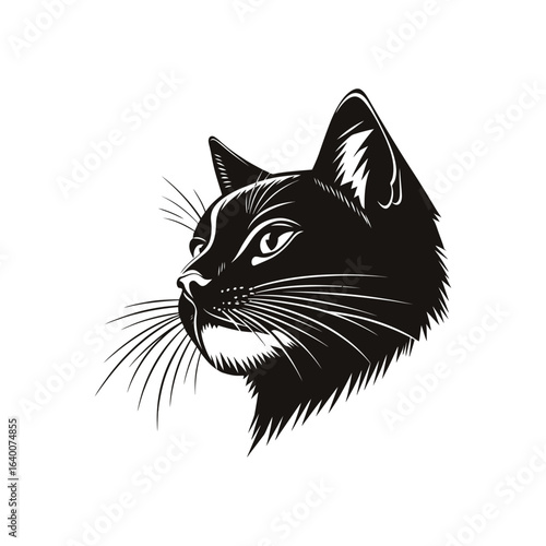Black cat head illustration with detailed fur and whisker on white background