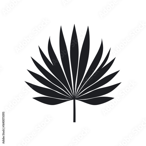 Black and white of a single tropical palmetto leaf design
