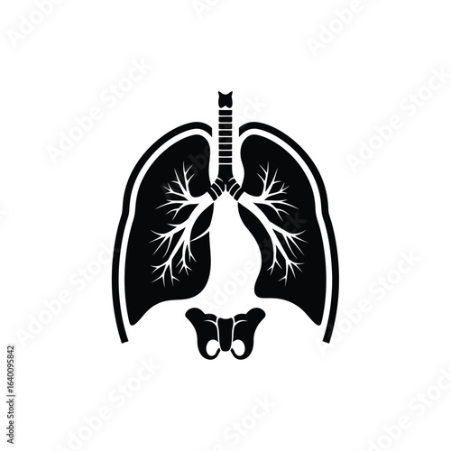 A black and white illustration of the human respiratory system, including the lungs, trachea, bronchi, and diaphragm.