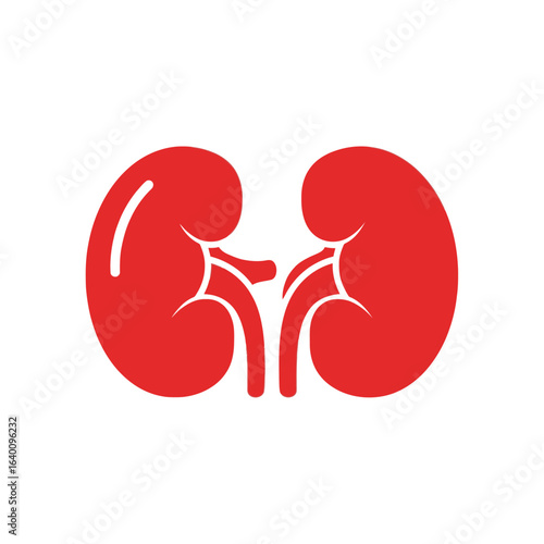 A simple red icon representing the human kidneys, a vital organ in the urinary system, on a white background.