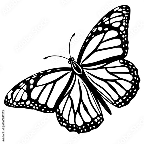 "Crisp vector art of a monarch butterfly in pure black silhouette with fine internal details, symmetrical layout, plain white background, modern decorative design."