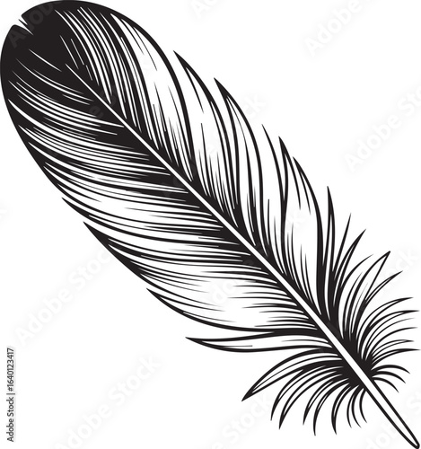 realistic bird feather vector for creative design projects bohemian style artwork or fashion motif