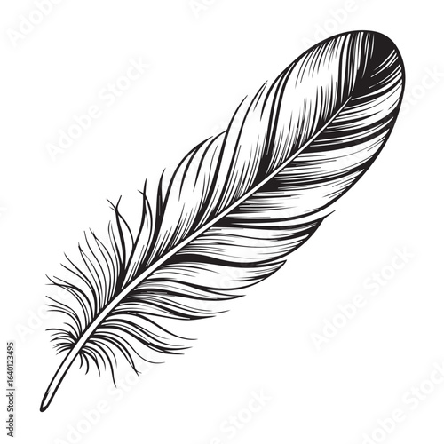 detailed bird feather drawing element for sketch logo or boho decoration isolated on white background