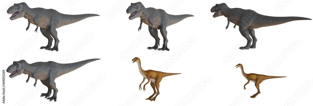 Fototapeta premium Various dinosaur species on a white background