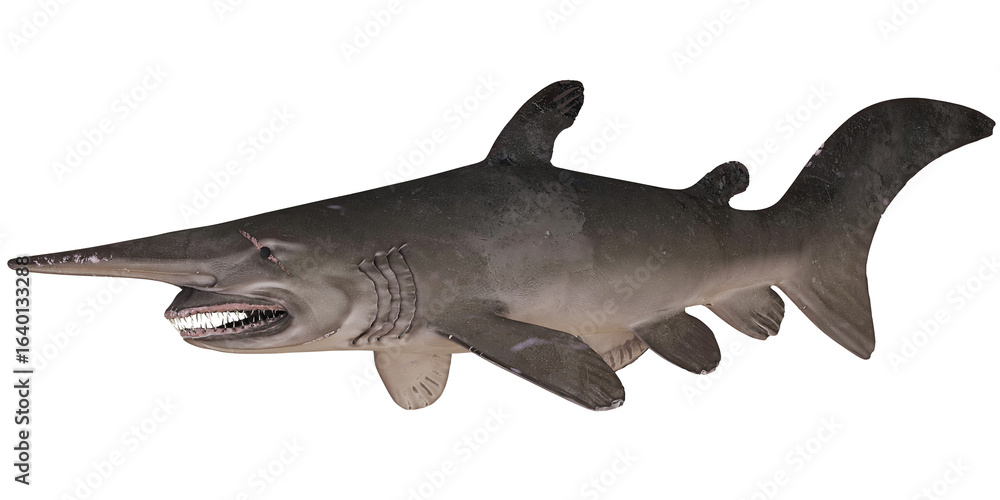 Fototapeta premium Realistic paddlefish model against white background