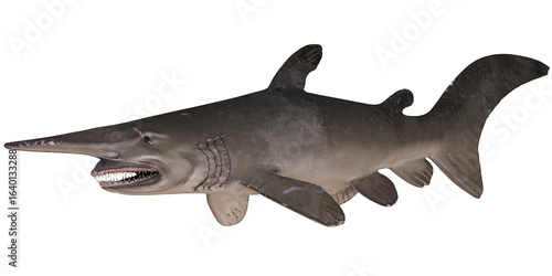 Realistic paddlefish model against white background