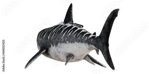 Prehistoric megalodon shark illustration