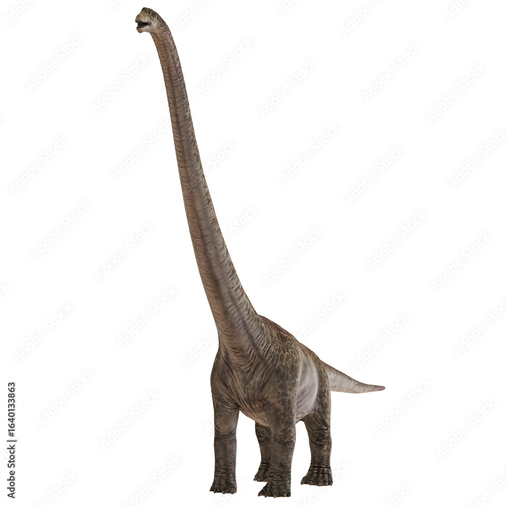 Fototapeta premium Majestic brachiosaurus standing tall with long neck