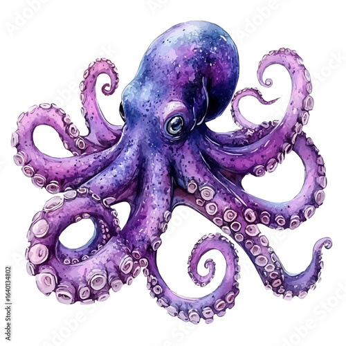 Octopus, watercolor painting vector, isolated on a white background.